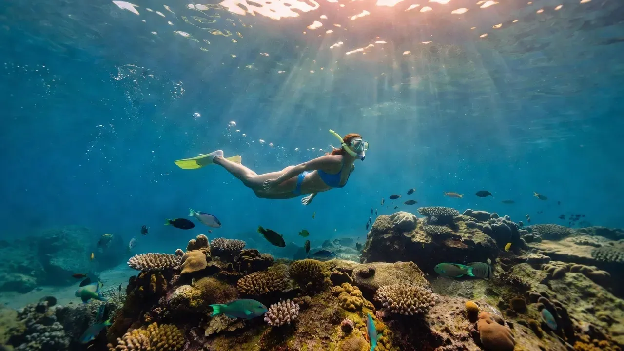 Snorkeler gliding above a rocky reef in clear warm Pacific water — the same underwater conditions found in Biesanz Bay near Manuel Antonio